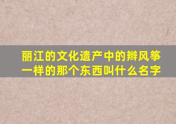 丽江的文化遗产中的辫风筝一样的那个东西叫什么名字