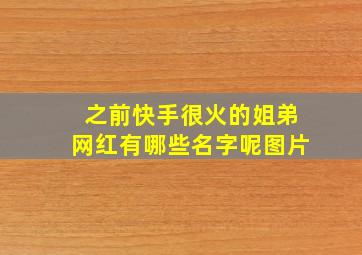 之前快手很火的姐弟网红有哪些名字呢图片