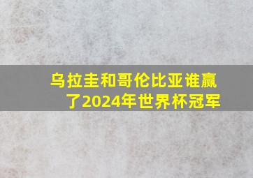 乌拉圭和哥伦比亚谁赢了2024年世界杯冠军