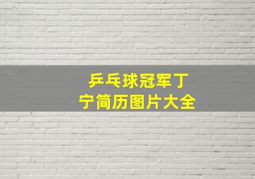 乒乓球冠军丁宁简历图片大全