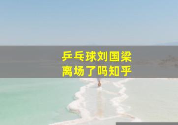 乒乓球刘国梁离场了吗知乎