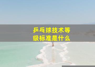 乒乓球技术等级标准是什么