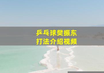 乒乓球樊振东打法介绍视频