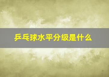 乒乓球水平分级是什么