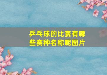 乒乓球的比赛有哪些赛种名称呢图片