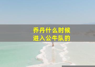 乔丹什么时候进入公牛队的