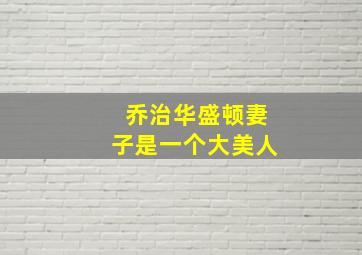 乔治华盛顿妻子是一个大美人