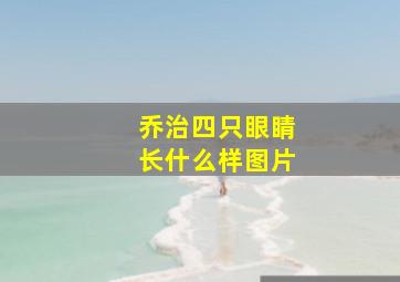 乔治四只眼睛长什么样图片