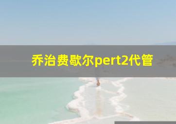 乔治费歇尔pert2代管