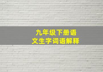 九年级下册语文生字词语解释