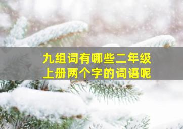 九组词有哪些二年级上册两个字的词语呢