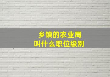 乡镇的农业局叫什么职位级别