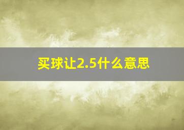 买球让2.5什么意思