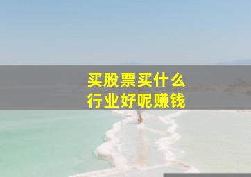 买股票买什么行业好呢赚钱