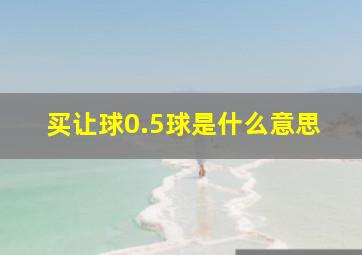 买让球0.5球是什么意思