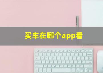 买车在哪个app看