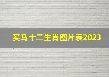 买马十二生肖图片表2023