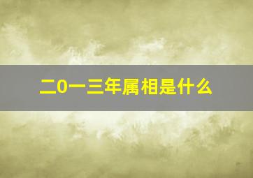 二0一三年属相是什么