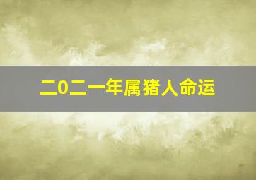 二0二一年属猪人命运