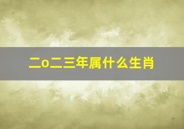 二o二三年属什么生肖