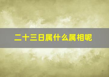 二十三日属什么属相呢