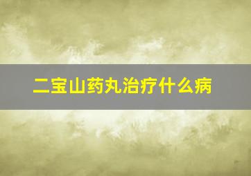 二宝山药丸治疗什么病