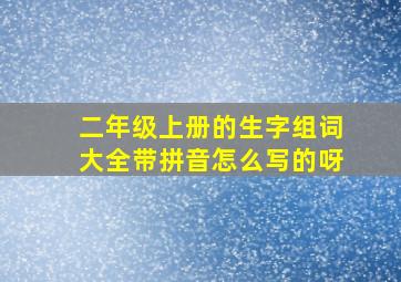 二年级上册的生字组词大全带拼音怎么写的呀