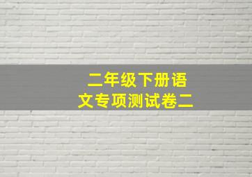 二年级下册语文专项测试卷二