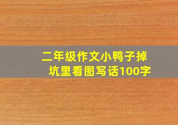 二年级作文小鸭子掉坑里看图写话100字