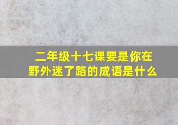 二年级十七课要是你在野外迷了路的成语是什么