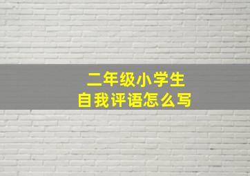 二年级小学生自我评语怎么写