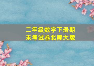 二年级数学下册期末考试卷北师大版