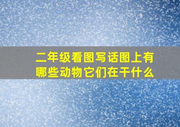 二年级看图写话图上有哪些动物它们在干什么