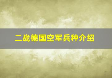 二战德国空军兵种介绍