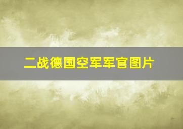 二战德国空军军官图片