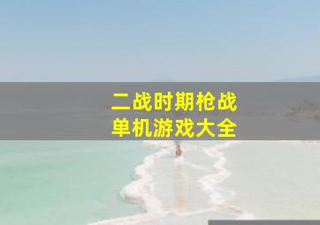 二战时期枪战单机游戏大全