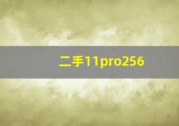 二手11pro256