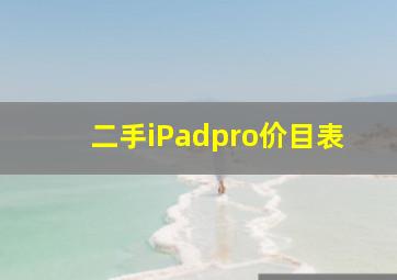 二手iPadpro价目表