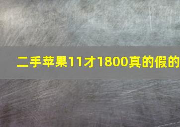 二手苹果11才1800真的假的