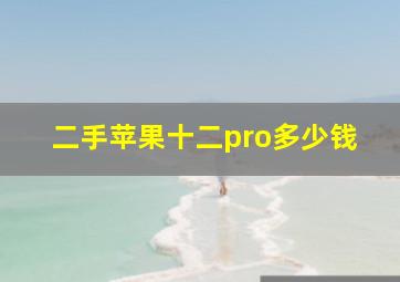 二手苹果十二pro多少钱