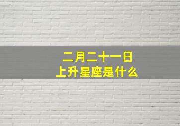 二月二十一日上升星座是什么