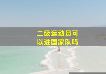 二级运动员可以进国家队吗