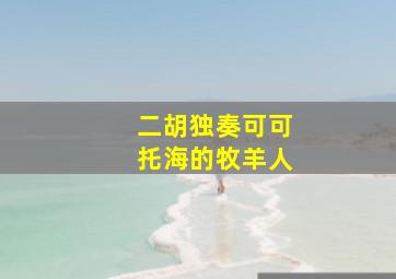 二胡独奏可可托海的牧羊人