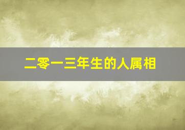 二零一三年生的人属相