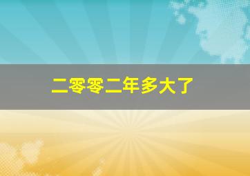 二零零二年多大了