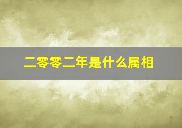 二零零二年是什么属相