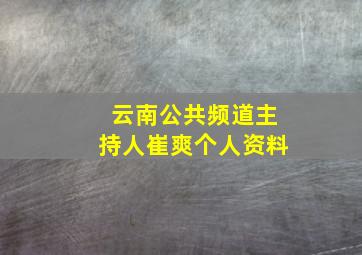 云南公共频道主持人崔爽个人资料