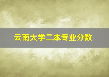 云南大学二本专业分数