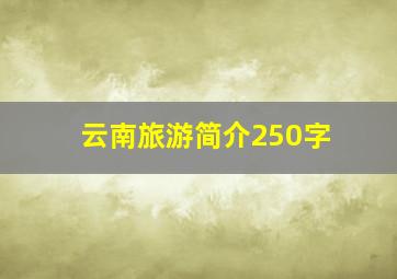 云南旅游简介250字