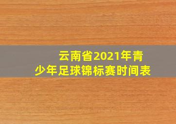 云南省2021年青少年足球锦标赛时间表